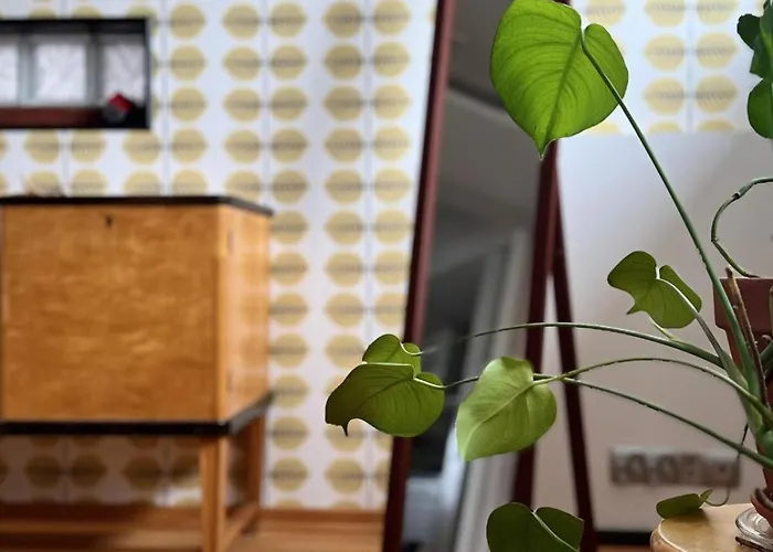 Daire Koda Hanki - Sauna & Free Parking